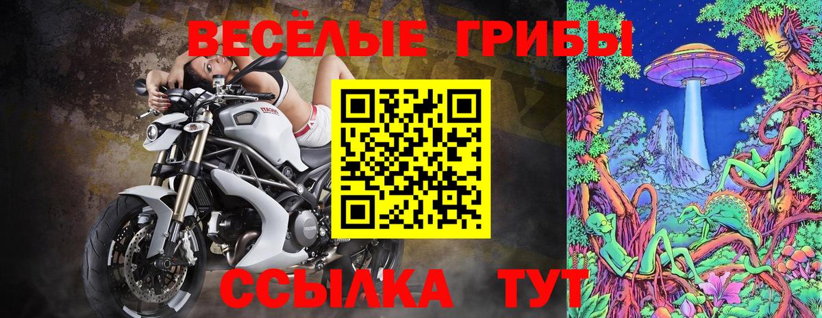 наркотики  Вход с VPN  Губаха  Псилоцибиновые грибы Psilocybine cubensis 