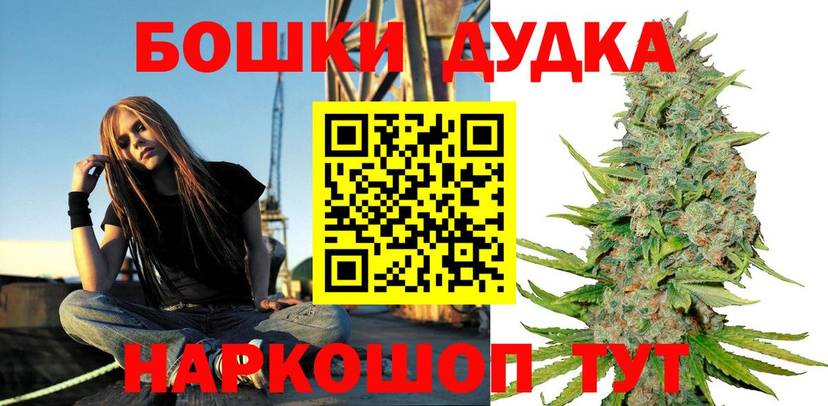 Каннабис индика Губаха
